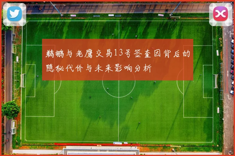 鹈鹕与老鹰交易13号签奎因背后的隐秘代价与未来影响分析