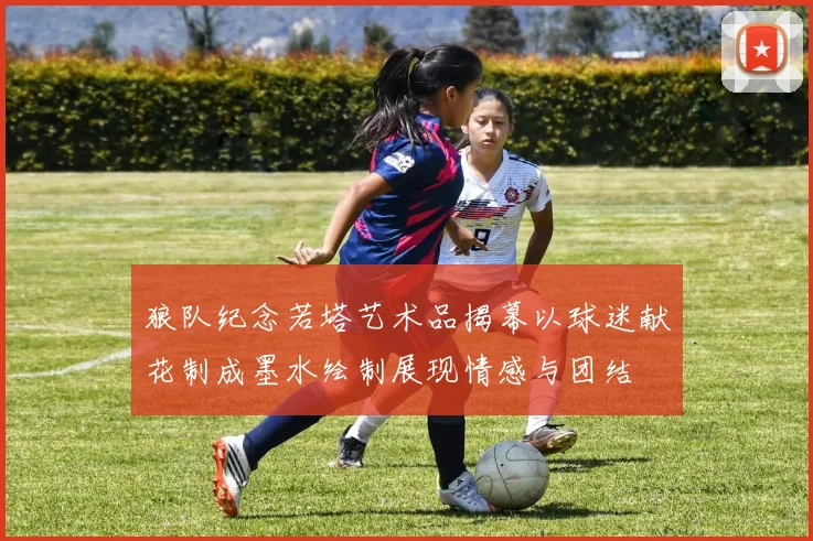 狼队纪念若塔艺术品揭幕以球迷献花制成墨水绘制展现情感与团结