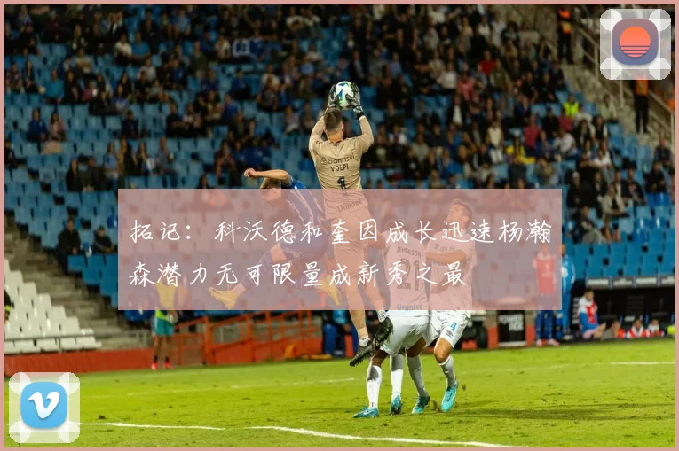 拓记：科沃德和奎因成长迅速杨瀚森潜力无可限量成新秀之最